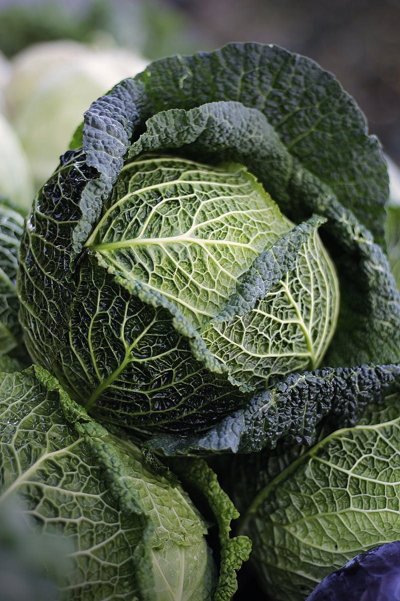 Enchanted Vegetables