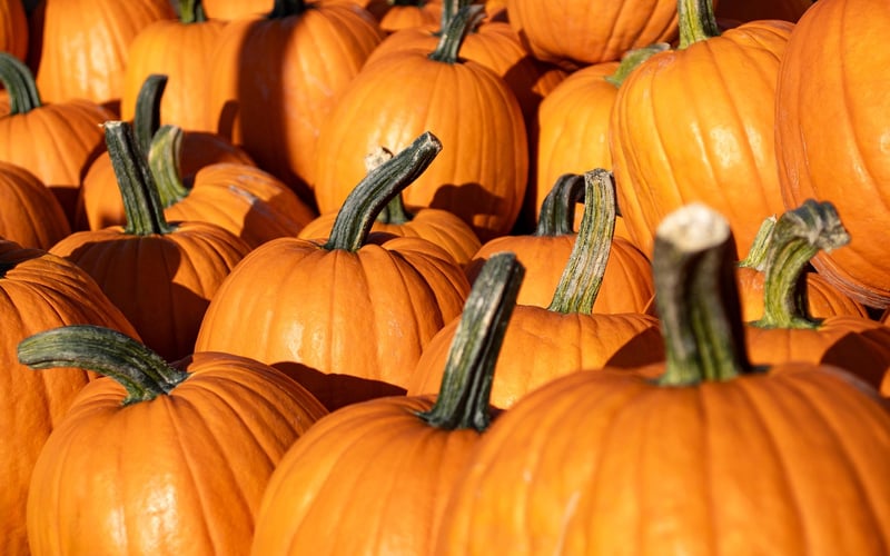 Magical Gourd