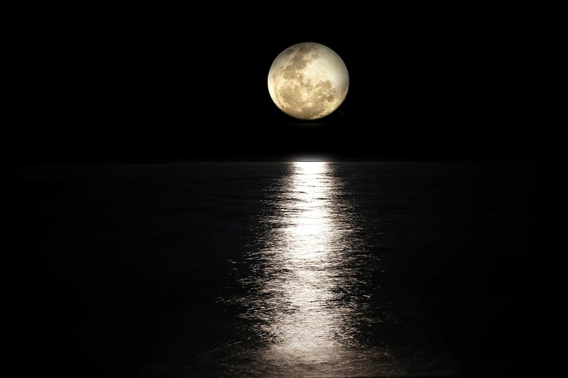 Moonlit Watering Elixir