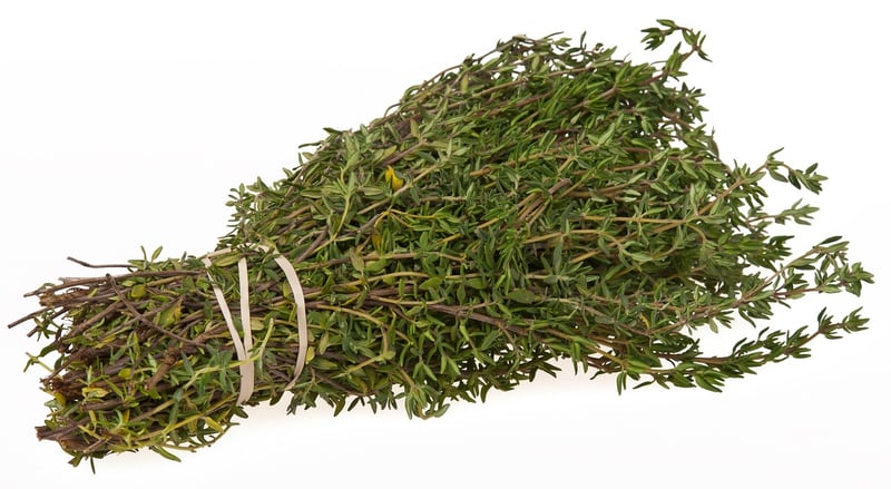 Enchanted Thyme